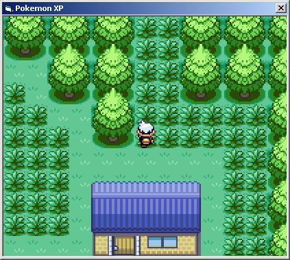 Pokemon XP 8